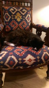 Edwardian chair, Hill Upholstery & Design