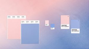 Hill Upholstery & Design Essex pantone