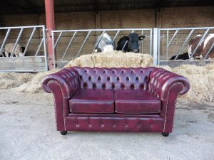 reuoholster chesterfield sofa