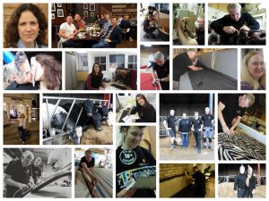 Hill Upholstery & Design team