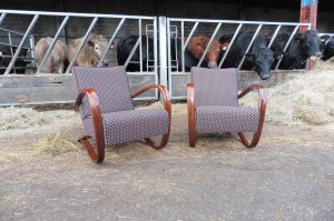 JINDŘICH HALABALA vintage chairs Chelmsford Halabala chairs reupholster - Hill Upholstery & Design